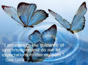 sychronicity-butterfly-dalai-lama
