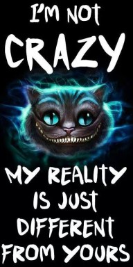 Evernote Camera Roll 20140827 071358